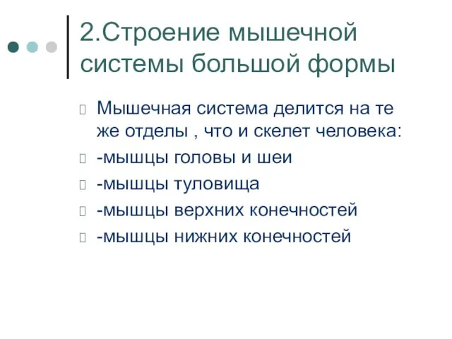 2.Строение мышечной системы большой формы Мышечная система делится на те же