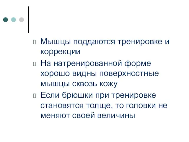 Мышцы поддаются тренировке и коррекции На натренированной форме хорошо видны поверхностные