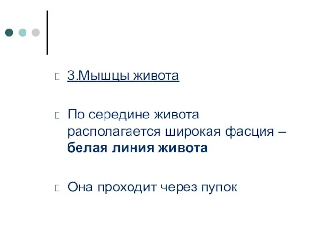 3.Мышцы живота По середине живота располагается широкая фасция – белая линия живота Она проходит через пупок