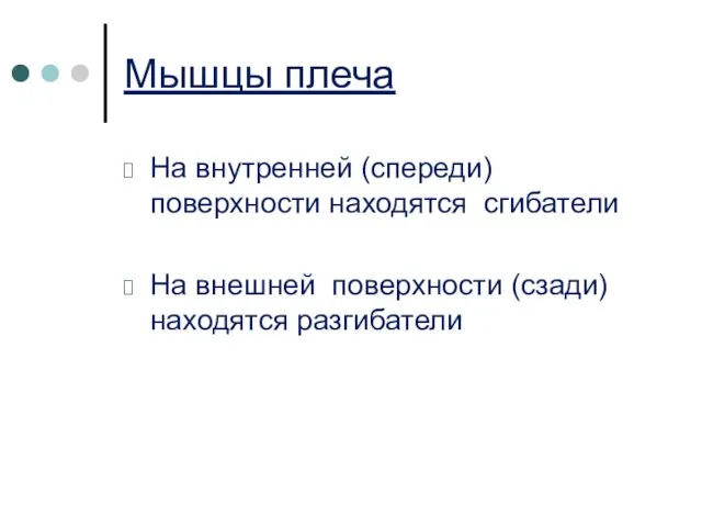 Мышцы плеча На внутренней (спереди) поверхности находятся сгибатели На внешней поверхности (сзади) находятся разгибатели