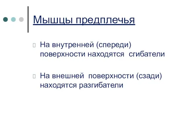 Мышцы предплечья На внутренней (спереди) поверхности находятся сгибатели На внешней поверхности (сзади) находятся разгибатели