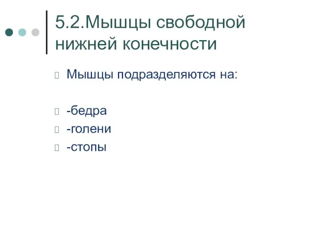 5.2.Мышцы свободной нижней конечности Мышцы подразделяются на: -бедра -голени -стопы