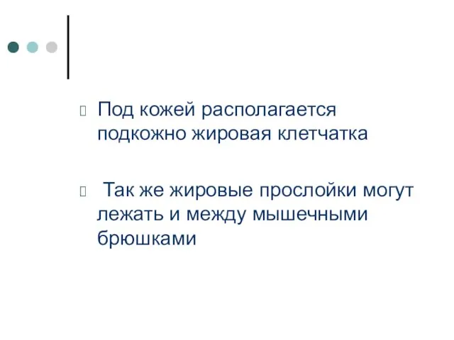 Под кожей располагается подкожно жировая клетчатка Так же жировые прослойки могут лежать и между мышечными брюшками