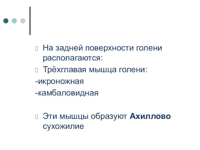 На задней поверхности голени располагаются: Трёхглавая мышца голени: -икроножная -камбаловидная Эти мышцы образуют Ахиллово сухожилие