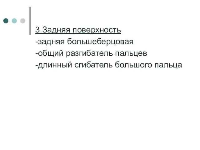 3.Задняя поверхность -задняя большеберцовая -общий разгибатель пальцев -длинный сгибатель большого пальца