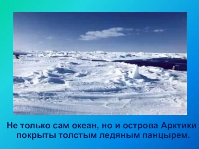 Не только сам океан, но и острова Арктики покрыты толстым ледяным панцырем.