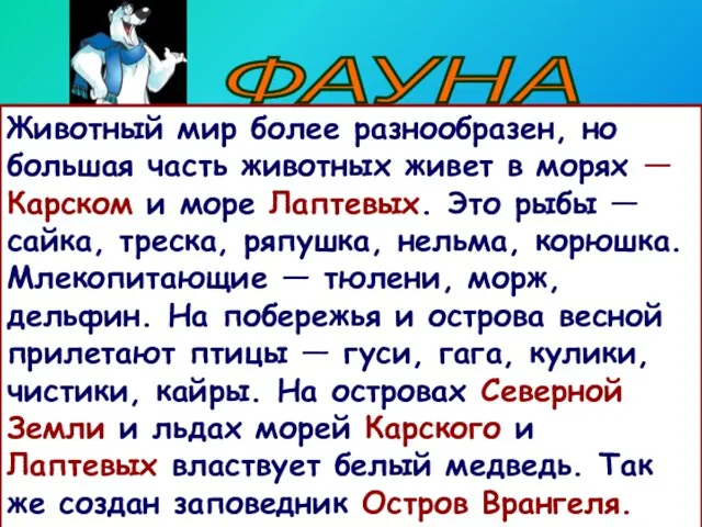 ФАУНА Животный мир более разнообразен, но большая часть животных живет в