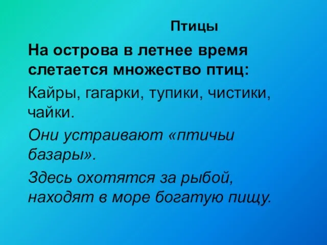 Птицы На острова в летнее время слетается множество птиц: Кайры, гагарки,