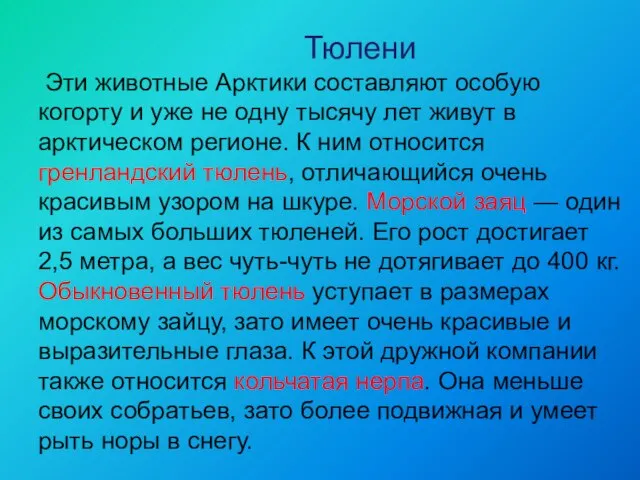 Тюлени Эти животные Арктики составляют особую когорту и уже не одну