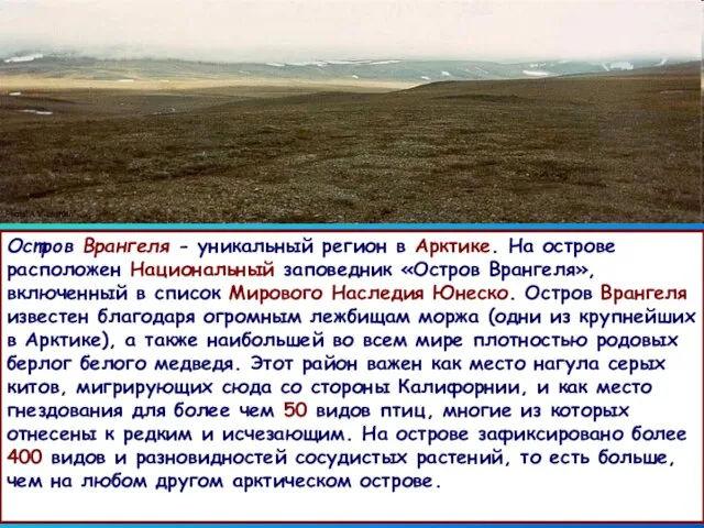 Остров Врангеля - уникальный регион в Арктике. На острове расположен Национальный