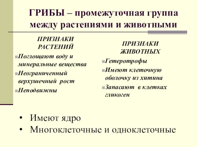 ГРИБЫ – промежуточная группа между растениями и животными ПРИЗНАКИ РАСТЕНИЙ Поглощают