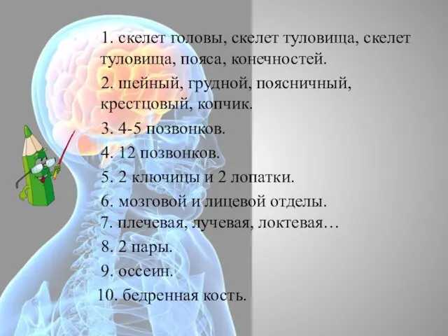 1. скелет головы, скелет туловища, скелет туловища, пояса, конечностей. 2. шейный,