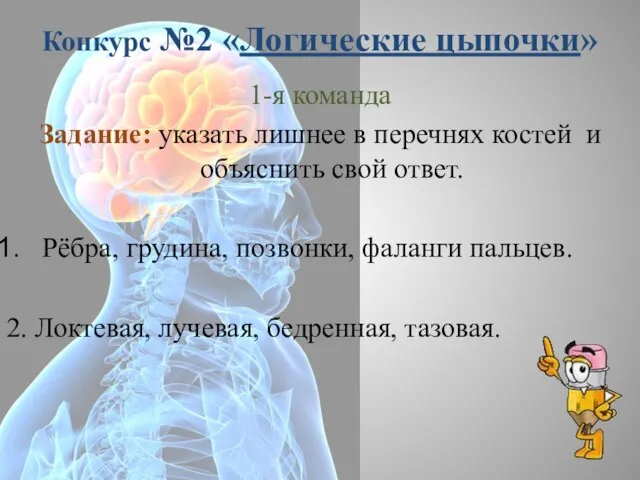 Конкурс №2 «Логические цыпочки» 1-я команда Задание: указать лишнее в перечнях