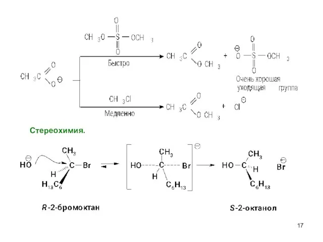 Cтереохимия.