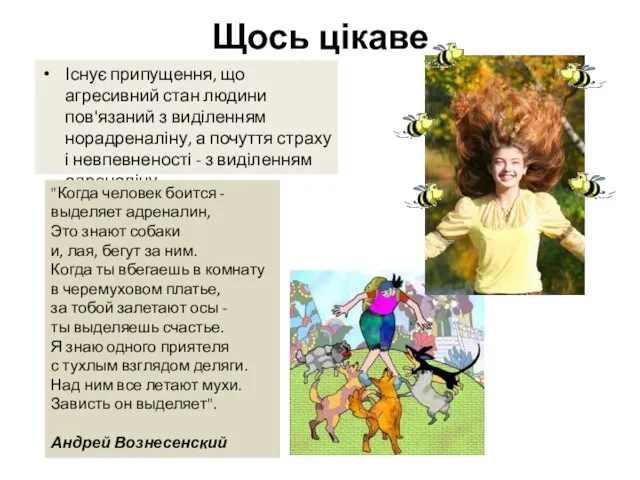 Щось цікаве Існує припущення, що агресивний стан людини пов'язаний з виділенням