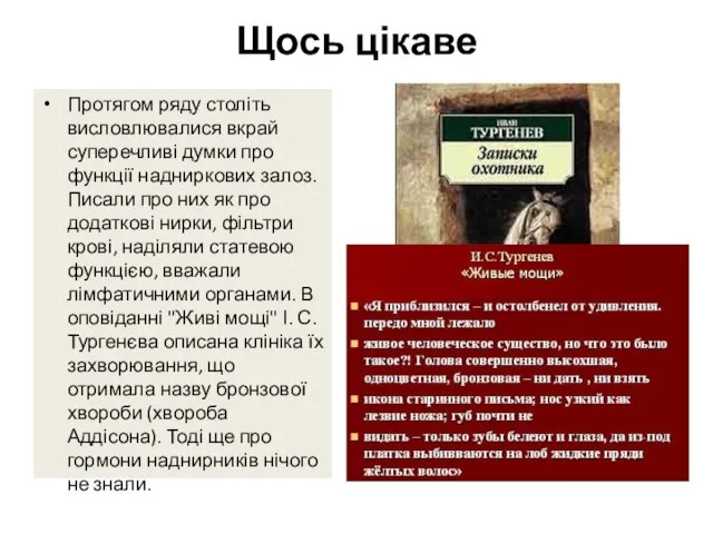 Протягом ряду століть висловлювалися вкрай суперечливі думки про функції надниркових залоз.