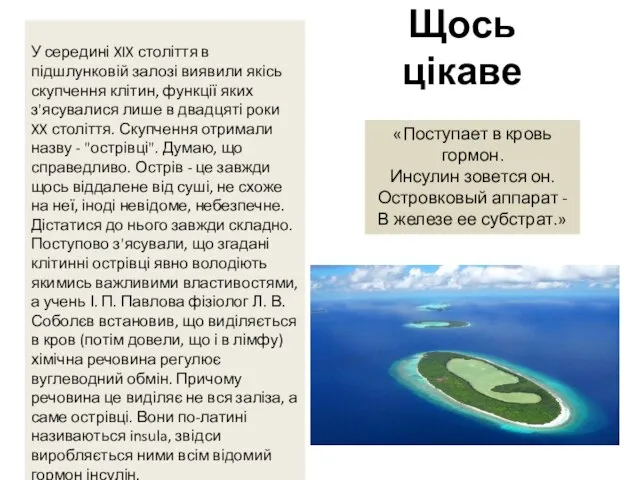 У середині XIX століття в підшлунковій залозі виявили якісь скупчення клітин,