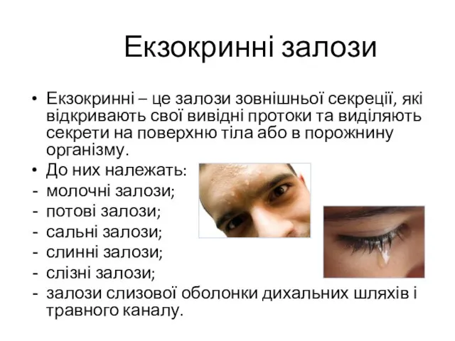 Екзокринні залози Екзокринні – це залози зовнішньої секреції, які відкривають свої