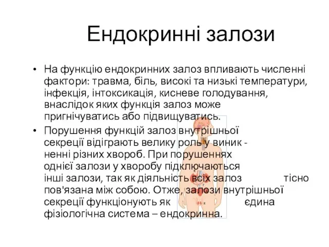 Ендокринні залози На функцію ендокринних залоз впливають численні фактори: травма, біль,