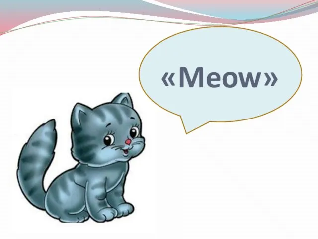 «Meow»