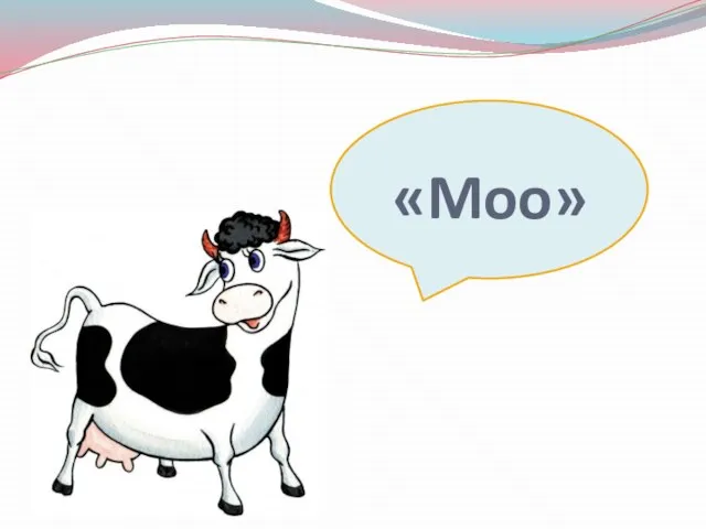 «Moo»