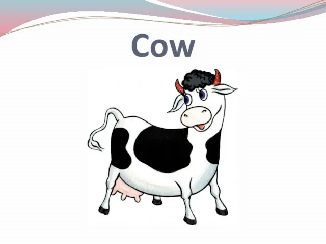 Cow