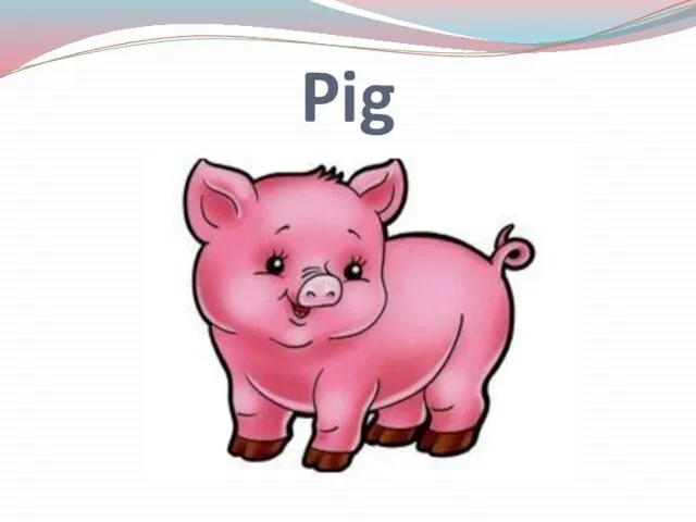 Pig