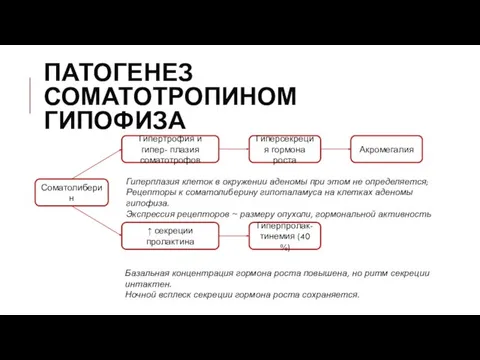 ПАТОГЕНЕЗ СОМАТОТРОПИНОМ ГИПОФИЗА Гиперсекреция гормона роста Соматолиберин Гипертрофия и гипер- плазия