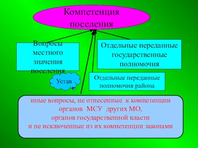 Компетенция поселения Вопросы местного значения поселения Отдельные переданные государственные полномочия иные