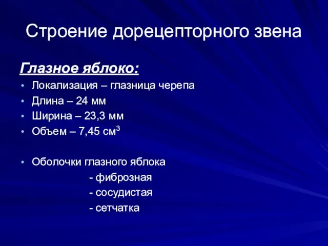 Строение дорецепторного звена Глазное яблоко: Локализация – глазница черепа Длина –