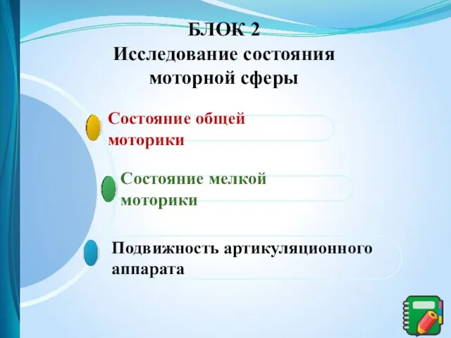 Подвижность артикуляционного аппарата Состояние мелкой моторики Состояние общей моторики БЛОК 2 Исследование состояния моторной сферы