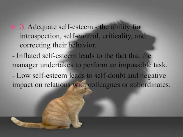 3. Adequate self-esteem - the ability for introspection, self-control, criticality, and