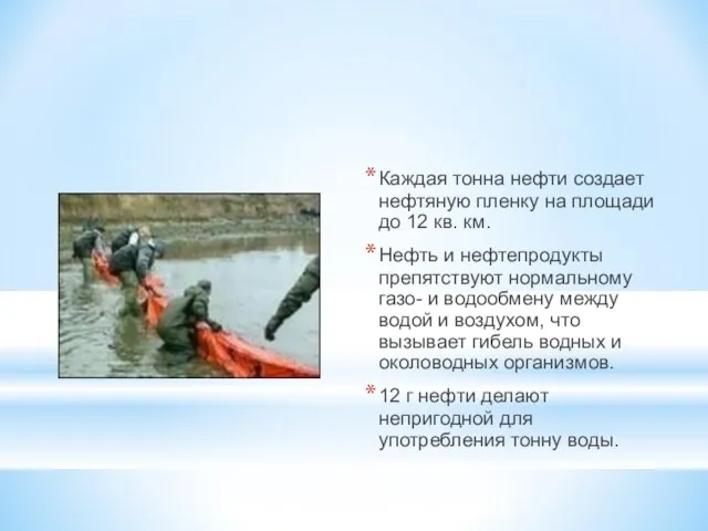 Каждая тонна нефти создает нефтяную пленку на площади до 12 кв.