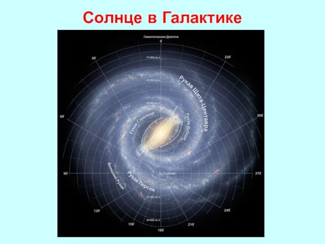 Солнце в Галактике