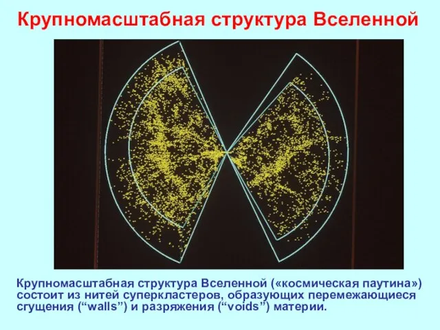 Крупномасштабная структура Вселенной Крупномасштабная структура Вселенной («космическая паутина») состоит из нитей