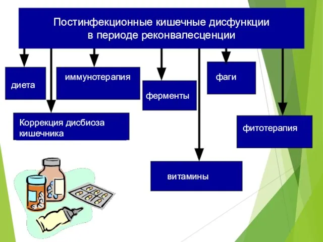 Постинфекционные кишечные дисфункции в периоде реконвалесценции диета иммунотерапия Коррекция дисбиоза кишечника ферменты фаги витамины фитотерапия