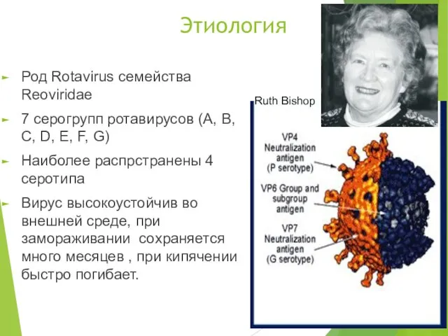 Этиология Род Rotavirus семейства Reoviridae 7 серогрупп ротавирусов (А, В, С,