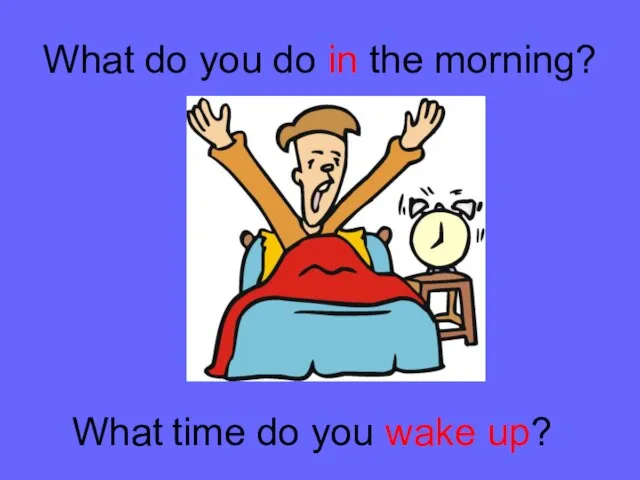 What do you do in the morning? What time do you wake up?