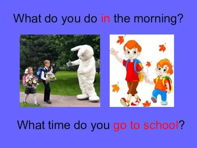 What do you do in the morning? What time do you go to school?