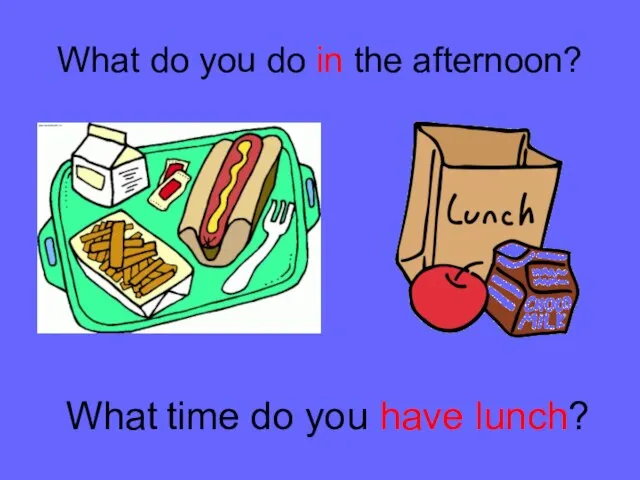 What do you do in the afternoon? What time do you have lunch?