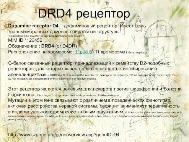 DRD4 рецептор Dopamine receptor D4 - дофаминовый рецептор. Имеет семь трансмембранных
