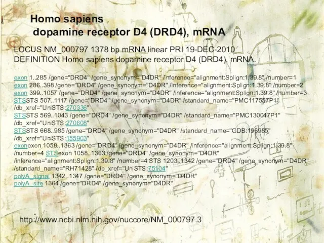 http://www.ncbi.nlm.nih.gov/nuccore/NM_000797.3 Homo sapiens dopamine receptor D4 (DRD4), mRNA LOCUS NM_000797 1378