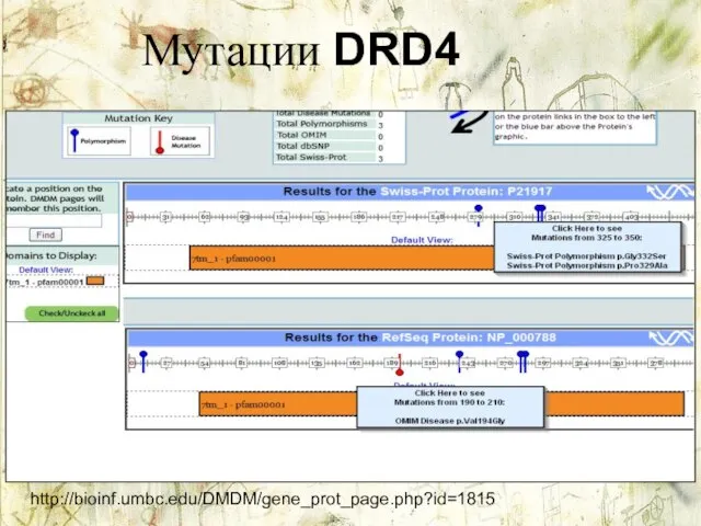 Мутации DRD4 http://bioinf.umbc.edu/DMDM/gene_prot_page.php?id=1815