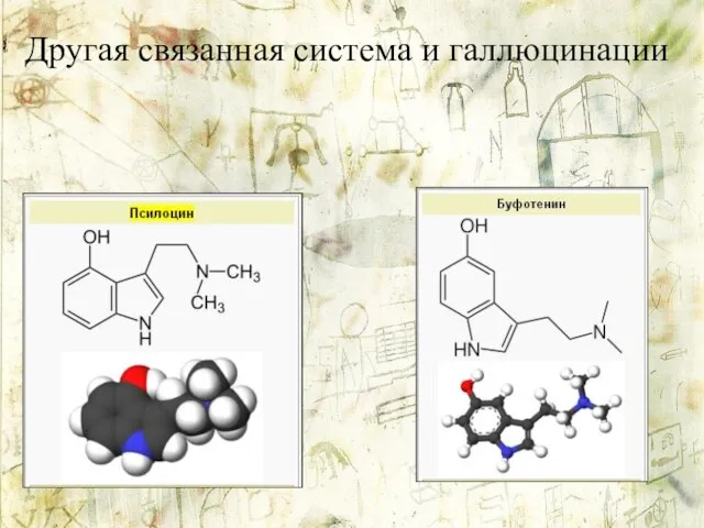 Другая связанная система и галлюцинации