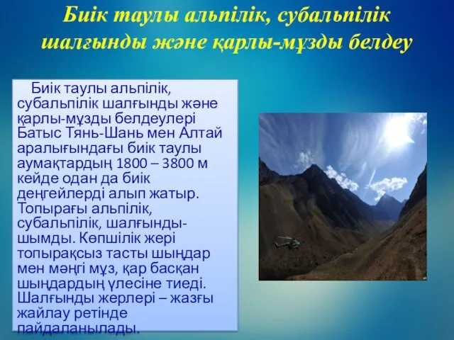 Биік таулы альпілік, субальпілік шалғынды және қарлы-мұзды белдеу Биік таулы альпілік,