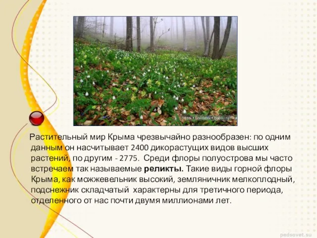Растительный мир Крыма чрезвычайно разнообразен: по одним данным он насчитывает 2400
