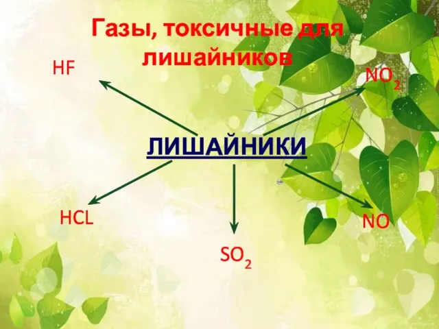 ЛИШАЙНИКИ NO2 SO2 HF NO HCL Газы, токсичные для лишайников