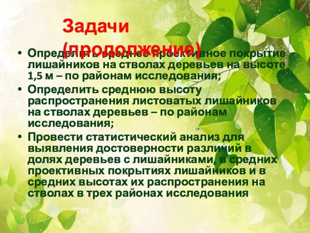 Определить среднее проективное покрытие лишайников на стволах деревьев на высоте 1,5