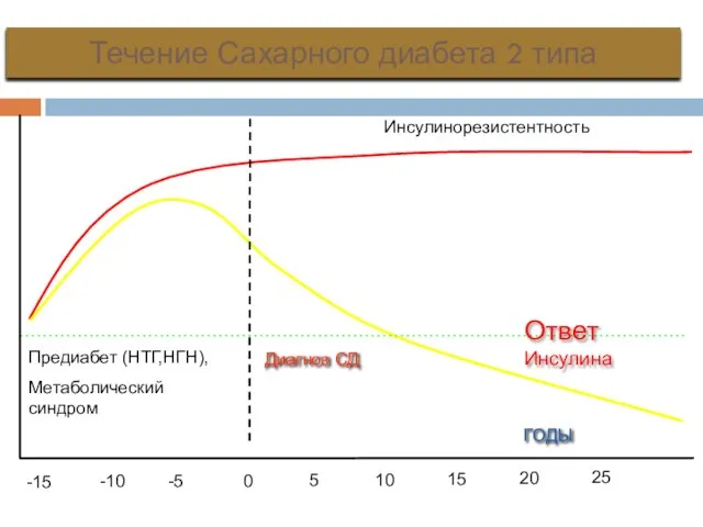 Течение Сахарного диабета 2 типа ГОДЫ Ответ Инсулина Инсулинорезистентность Диагноз СД
