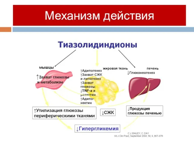 Механизм действия